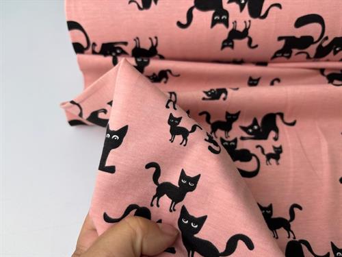 Bomuldsjersey - katte på lys blush bund