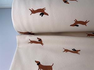 Tyk isoli - sødeste brune hunde på offwhite bund