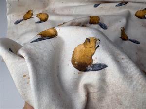 Bomuldsjersey - offwhite med bæver