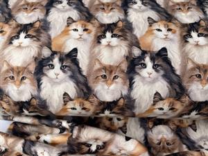 Bomuldsjersey - the maine coon gathering