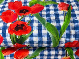 Bomuldsjersey - dutch tulips