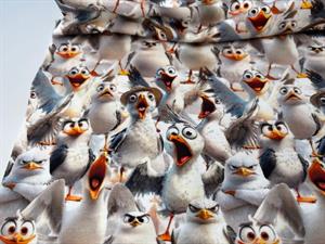 Bomuldsjersey - skønne skøre tossede måger