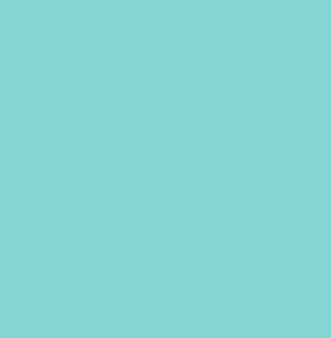 Bomuldsjersey - mint