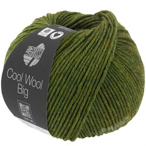 Cool wool big 100% merino - fin grøn meleret