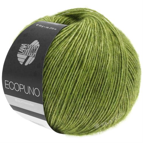 Ecopuno bomuld/uld - i en mørk pistacie