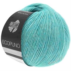 Ecopuno bomuld/uld - i en lækker turkis
